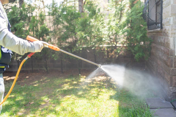 Seasonal Pest Control in Clinton, MS